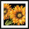 Dimensions Dramatic Sunflowers Needlepoint Kit -Prym Clover Shop 061083 74853.1693402266