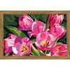 Collection D'Art Wild Flowers Needlepoint Kit -Prym Clover Shop 066289 67194.1693402912